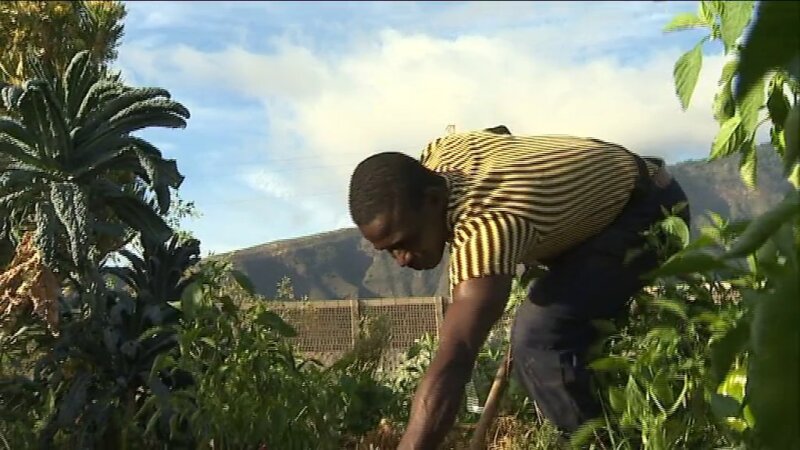 Boido, un ejemplo de integración en Canarias