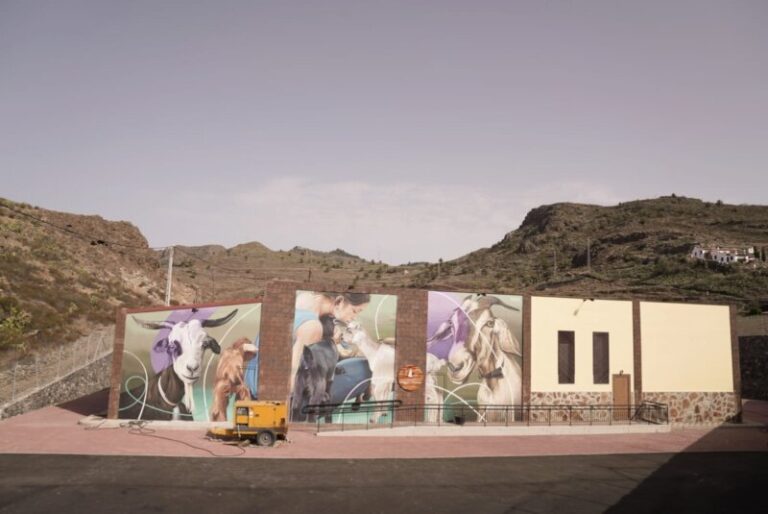 Finalizan las obras en el Centro de Interpretación del Queso y el Pastoreo de La Gomera