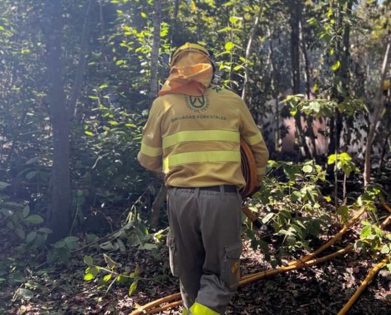Los Reyes asistirán al reconocimiento de los miembros de extinción del incendio de Tenerife, ya en nivel 1