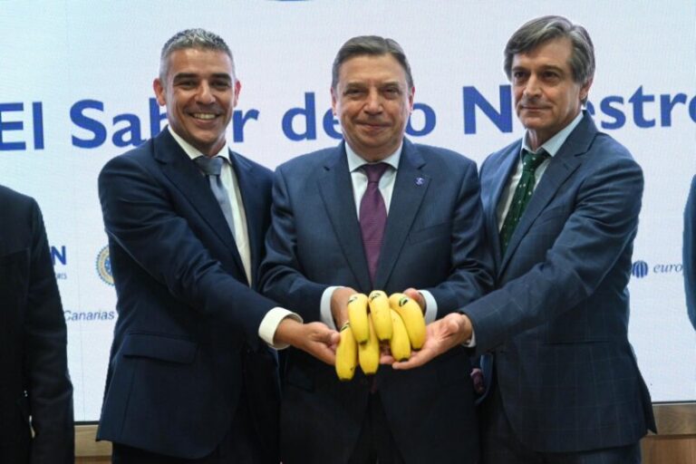 Canarias busca nuevas oportunidades de mercado para sus frutas, hortalizas y flor cortada