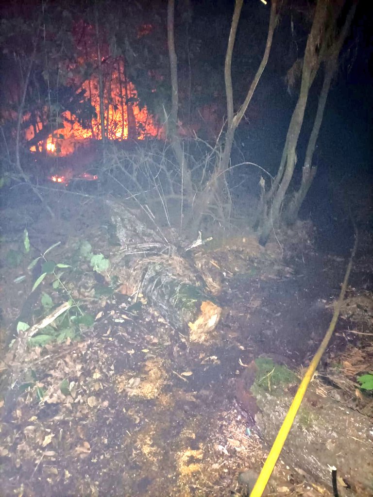 UME. Incendio Tenerife