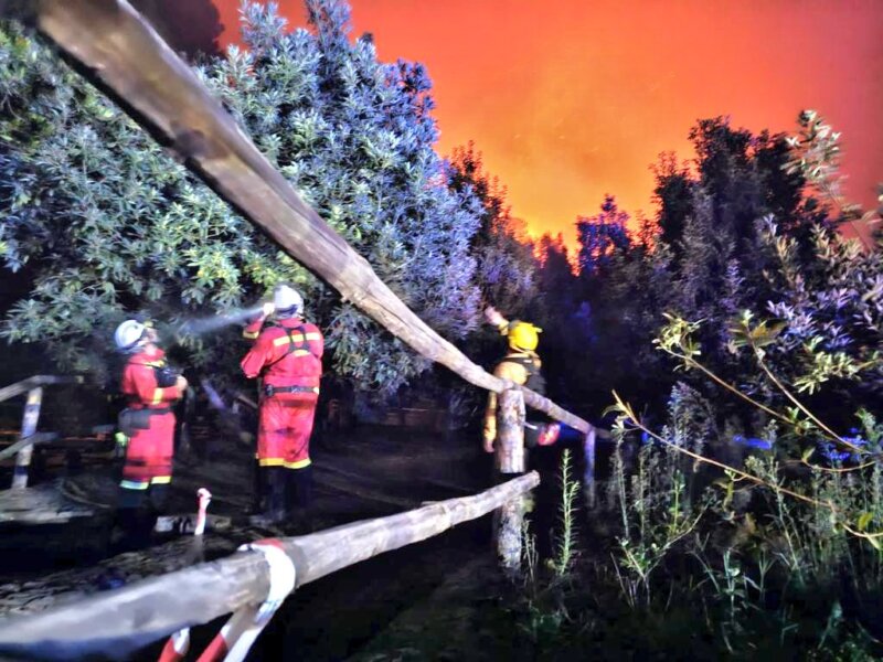 Cómo prevenir los incendios forestales en plena ola de calor en Canarias