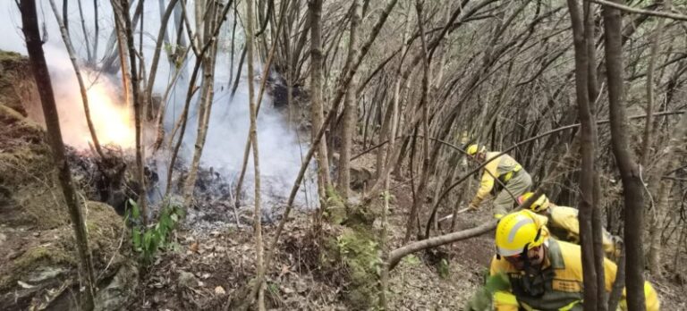 Las reactivaciones del incendio de Tenerife han sido menos intensas