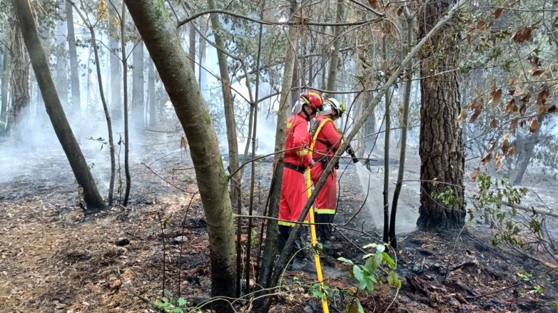 Miembros de la UME en Reactivación Incendio Tenerife