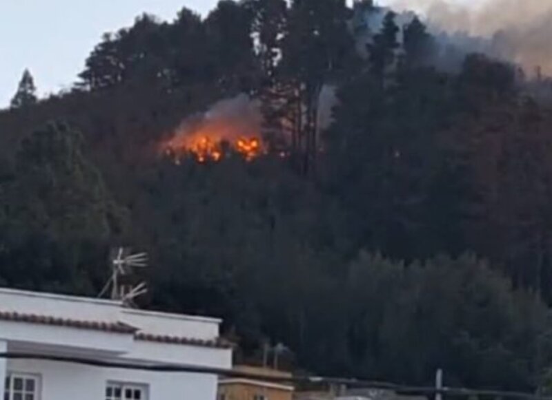 Reactivación incendio Tenerife