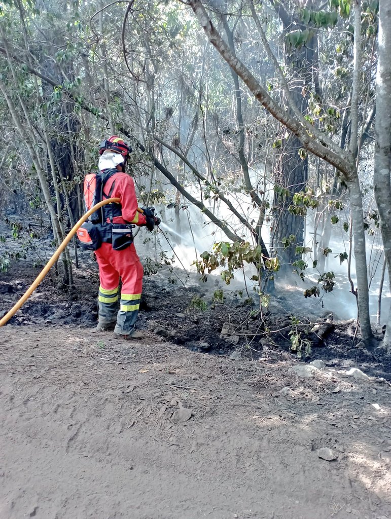UME en reactivación incendio Tenerife. UME