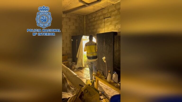 Siete detenidos en Gran Canaria por vender droga en clubes de cánnabis