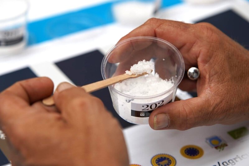 Concurso de sales de Agrocanarias.