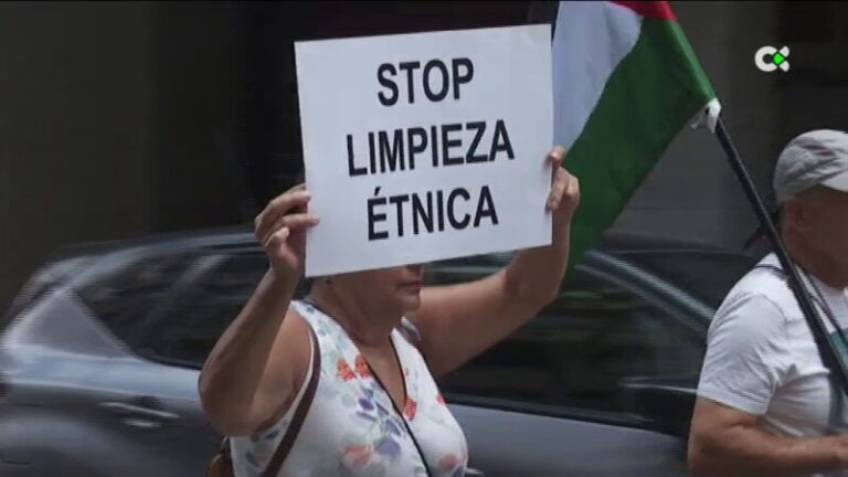 Manifestaciones en las islas en apoyo al pueblo palestino