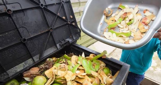 Desperdicios alimentos