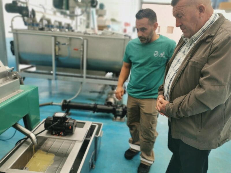 Fuerteventura produce más de 20.000 litros de aceite de oliva