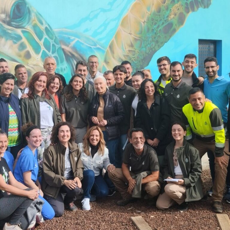 La activista Jane Goodall bautiza a una tortuga para su liberación en aguas de Tenerife