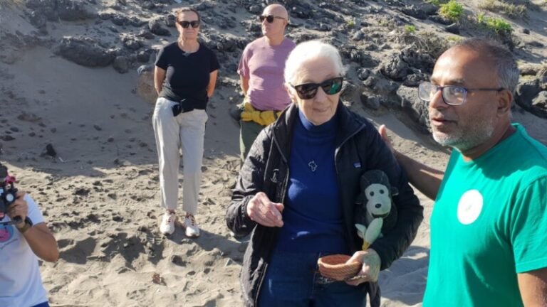 Jane Goodall participa en la suelta de una tortuga en el sur de Tenerife