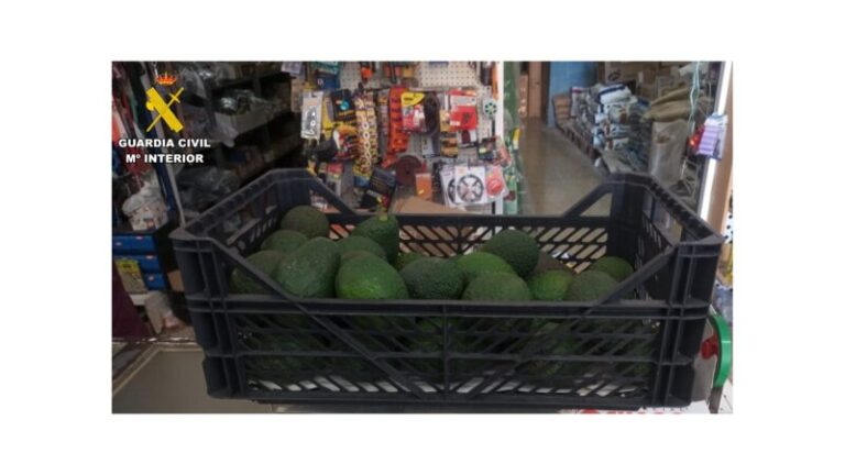 La Guardia Civil incauta 100 kilos de aguacates en Tenerife