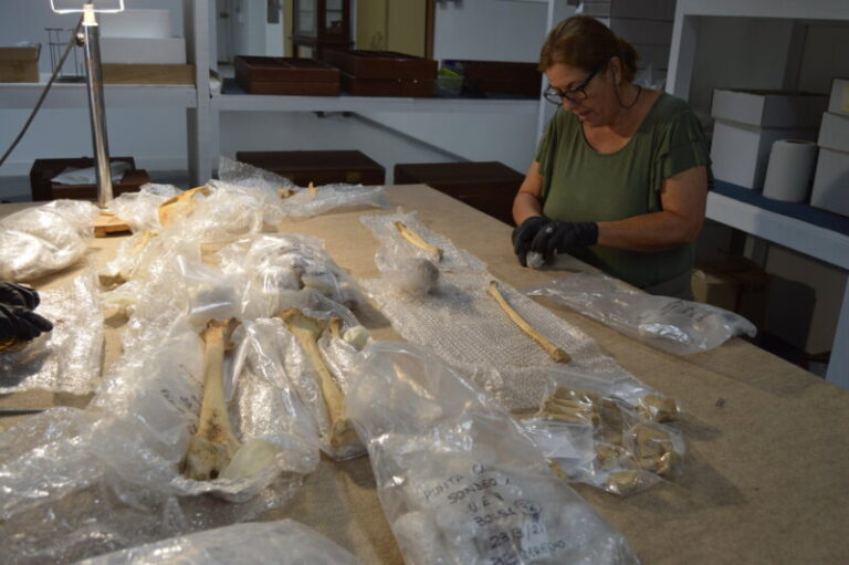 Novedoso estudio de la violencia física de los majos