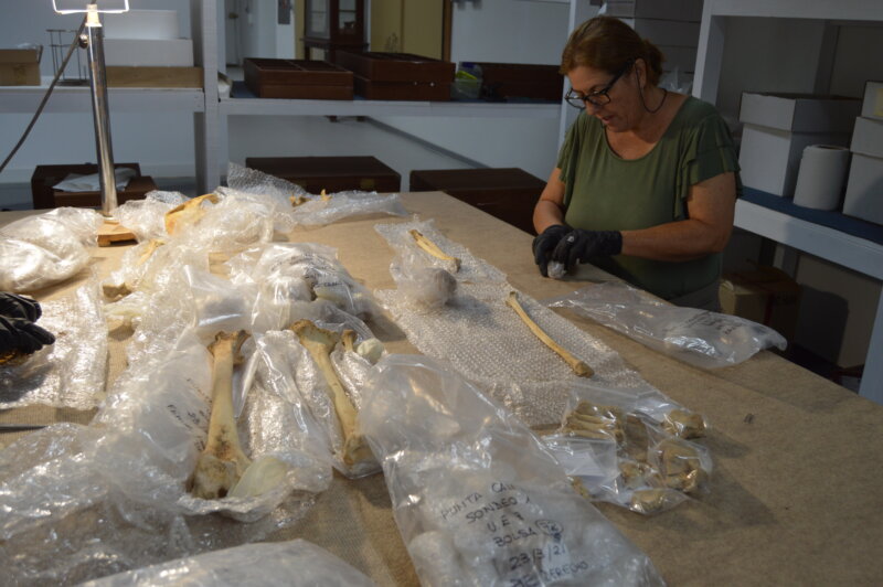 Estudio sobre la violencia en los majos, los aborígenes de Fuerteventura / Cabildo de Fuerteventura 