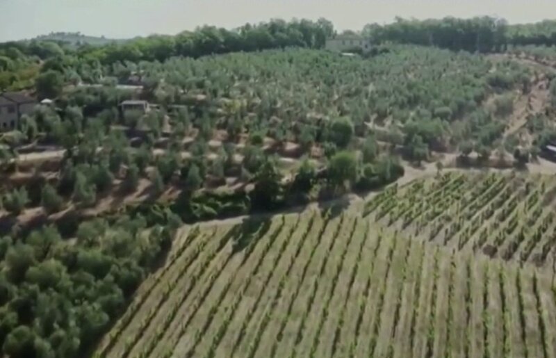 Sale adelante la Ley de Restauración de la Naturaleza