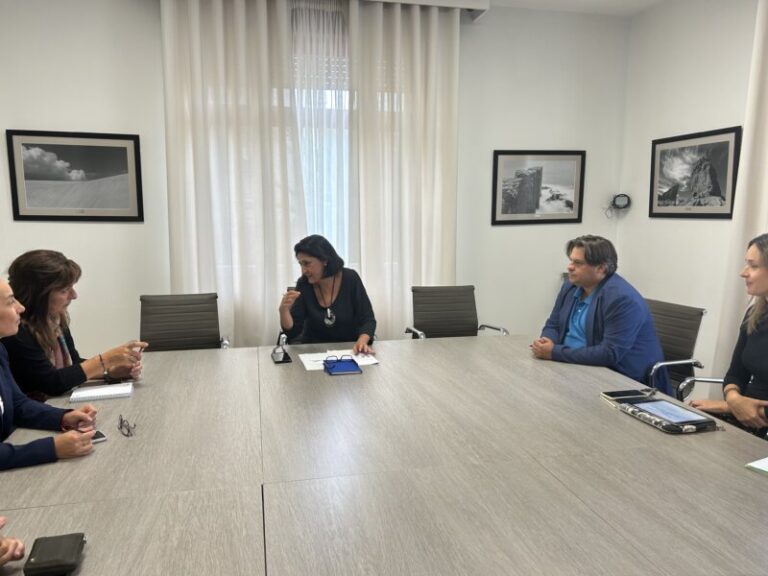 Transporte a demanda para Güímar, Fasnia y Arico en Tenerife