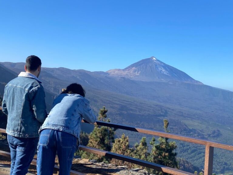 Ya se empieza a notar la recuperación del retamar del Teide tras el incendio de 2007