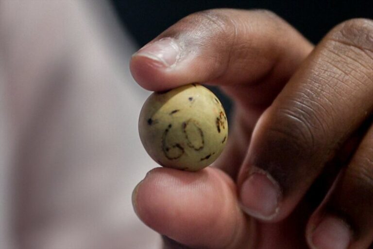 88.008, el ‘Gordo’ de la Lotería de Navidad 2023, toca en cinco islas de Canarias