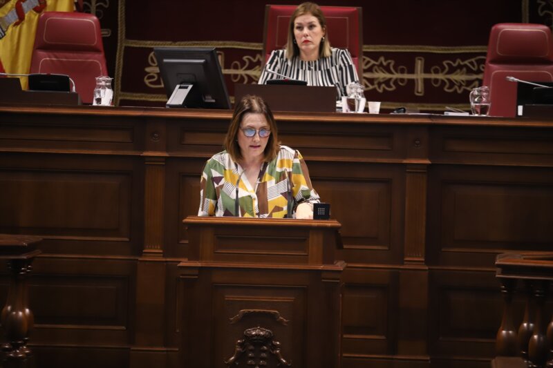 La consejera de Bienestar Social, Igualdad, Juventud, Infancia y Familias del Gobierno de Canarias, Candelaria Delgado. Imangen GOBIERNO DE CANARIAS / Europa Press