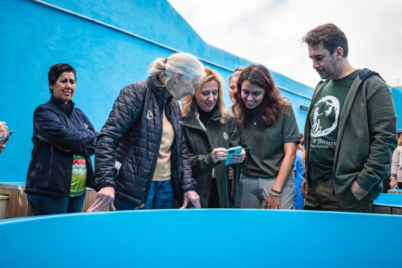 Cada año el centro atiende a más de 3.500 ejemplares de la fauna silvestre accidentados que se recuperan y rehabilitan para ser devueltos al medio natural