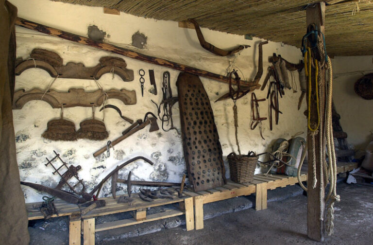 Un proyecto estudio en El Hierro los usos y explotación de la madera en las sociedades prehispánicas