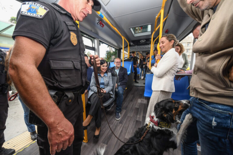 Policías locales con uniforme y de paisano para reforzar la seguridad en Guaguas Municipales