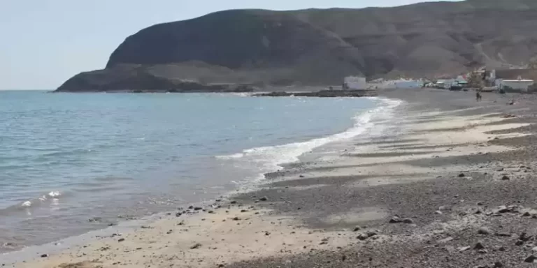 Sacan a un cetáceo que estaba a la deriva en aguas de Fuerteventura
