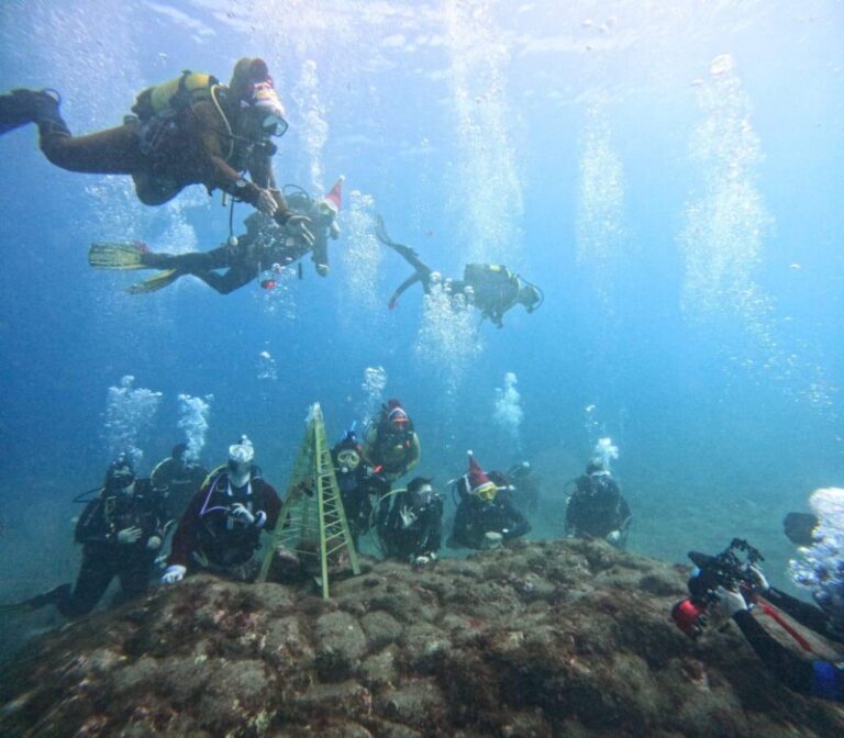 Un árbol de Navidad submarino en Garachico