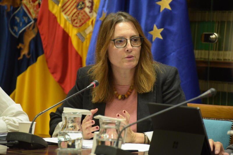 Delgado: Canarias "no puede permanecer impasible ante este drama" migratorio
