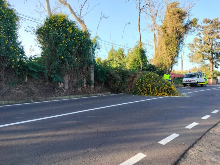 Las rachas de viento dejan daños materiales en las islas occidentales
