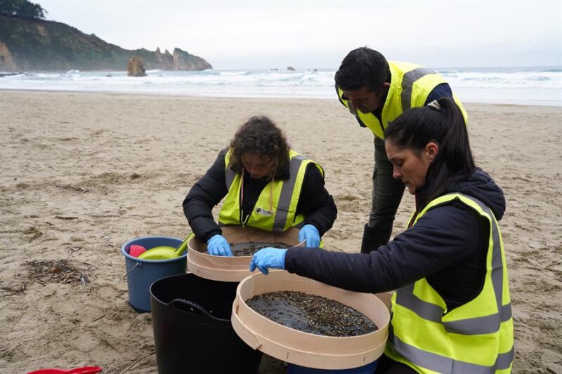 PLAYA DEL AGUILAR (ASTURIAS), 09/01/2024.- Operarios retiran los pellets o bolitas para fabricar plástico que aparecen en las playas de Asturias, tras la caída de un contenedor de un barco el pasado diciembre, esta mañana enla playa asturiana del Aguilar. EFE/Paco Paredes