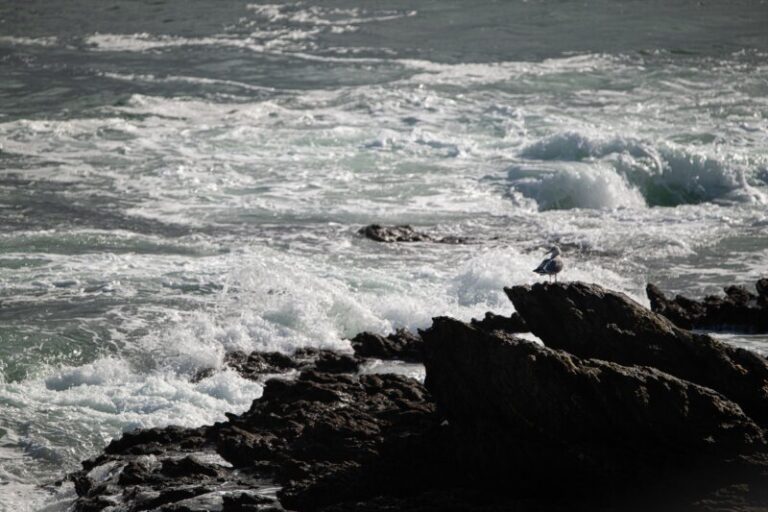 Canarias sigue en prealerta por fenómenos costeros