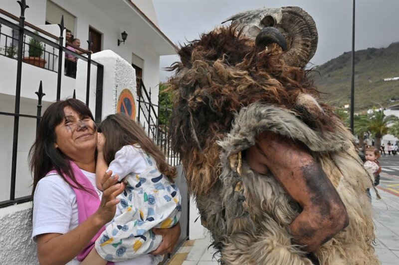 Los carneros toman las calles de Tigaday, en El Hierro