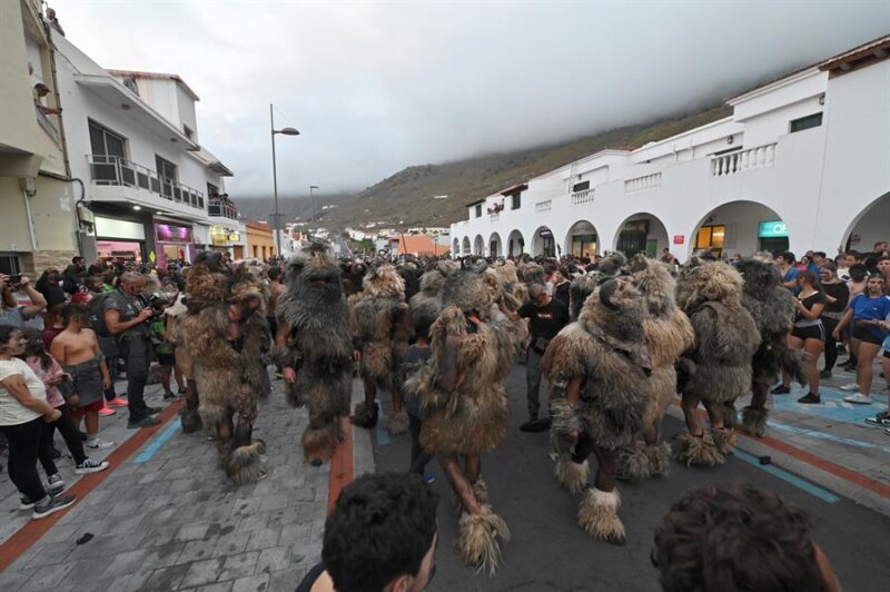 Los carneros toman las calles de Tigaday, en El Hierro