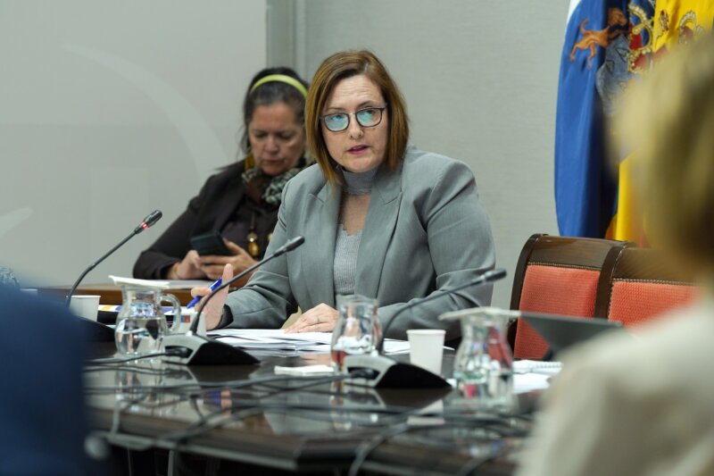 El plan canario de inmigración podría aprobarse antes de verano