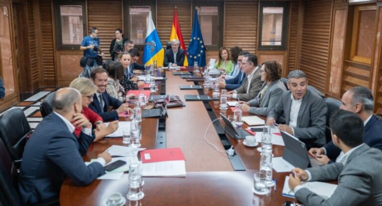 El próximo mes de marzo comenzará la bonificación al combustible en las islas verdes