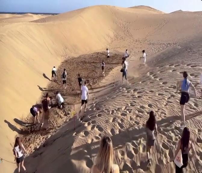 La investigación se inició con el acopio del material difundido en redes sociales y una visita de inspección del lugar afectado