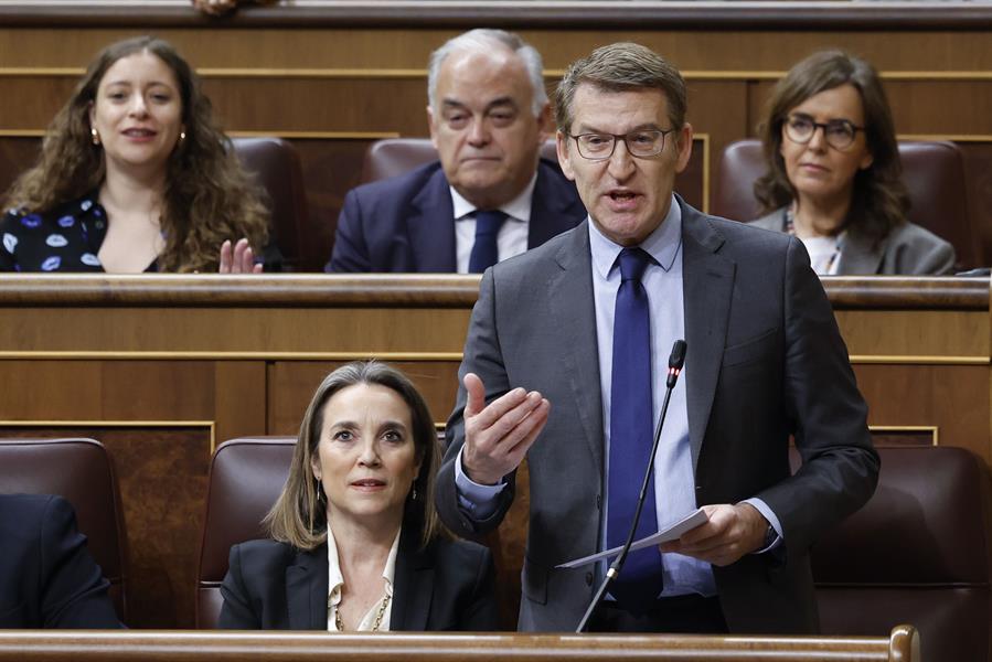 Tenso cara a cara en el Congreso. Imagen: Alberto Núñez Feijóo, líder del PP, en la sesión de control al Gobierno. EFE