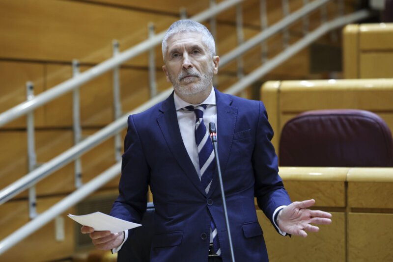 MADRID, 06/02/2024.- El ministro de Interior, Fernando Grande-Marlaska, participa en la sesión del control al Gobierno que celebra el pleno del Senado este martes. EFE/ Kiko Huesca