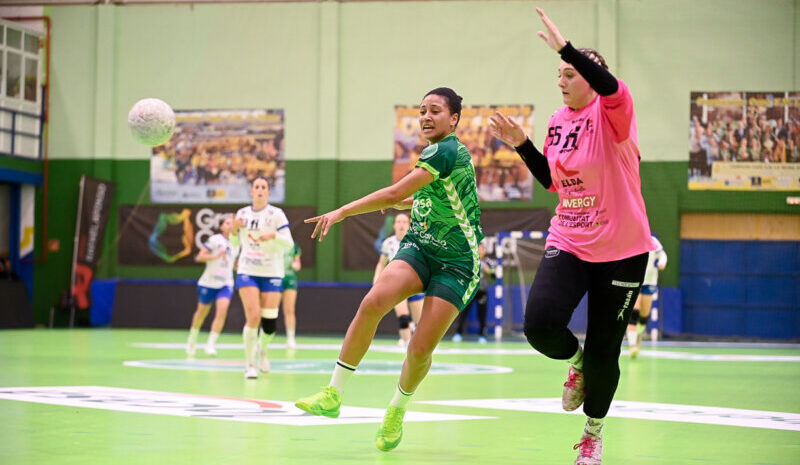 35-27. El Rocasa Gran Canaria recupera la sonrisa ante el Elda Prestigio