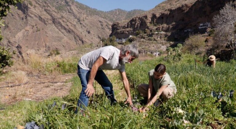 ‘Como en casa’ recorre cinco nuevas recetas del mundo sin salir de Canarias