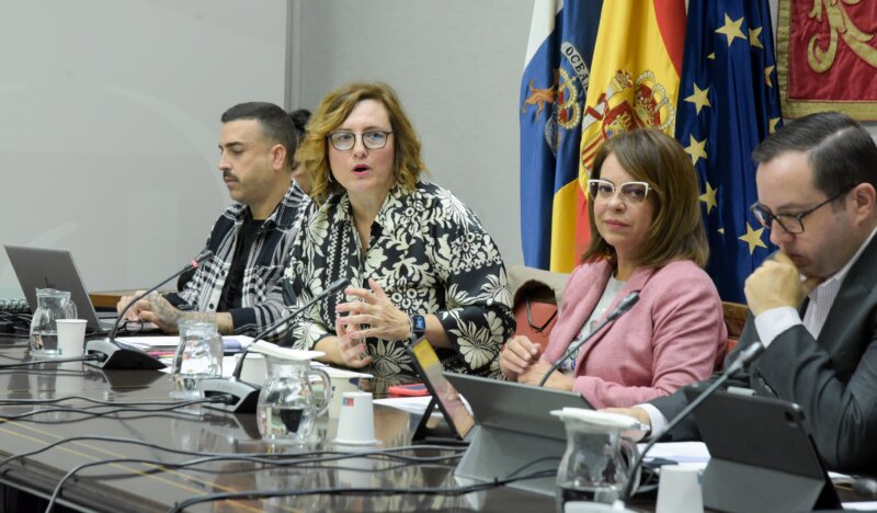 Imagen de la Consejera de Bienestar Social, Igualdad, Juventud, Infancia y Familias, Candelaria Delgado, en comisión parlamentaria. Foto Gobierno de Canarias 