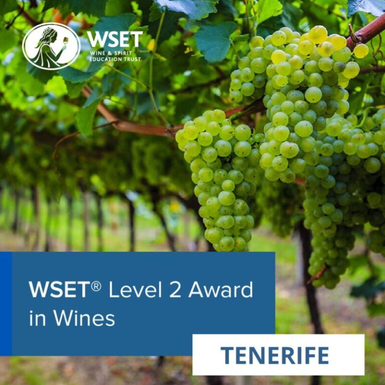 La técnica de cultivo de la vid de Cordón Trenzado será declarada BIC