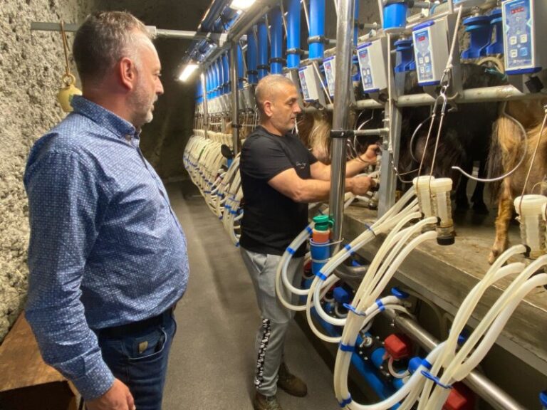 El Cabildo de La Palma apuesta por el fomento de la soberanía alimentaria y las razas palmeras