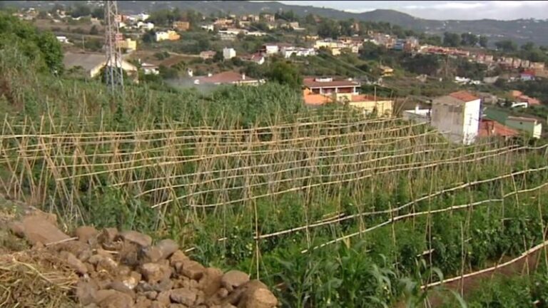 El norte grancanario, preocupado por la posible escasez de agua para el verano
