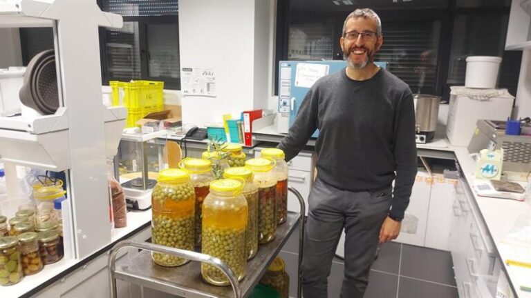 Un ácido de las hojas del olivo, clave para tratar la diabetes y el alzhéimer