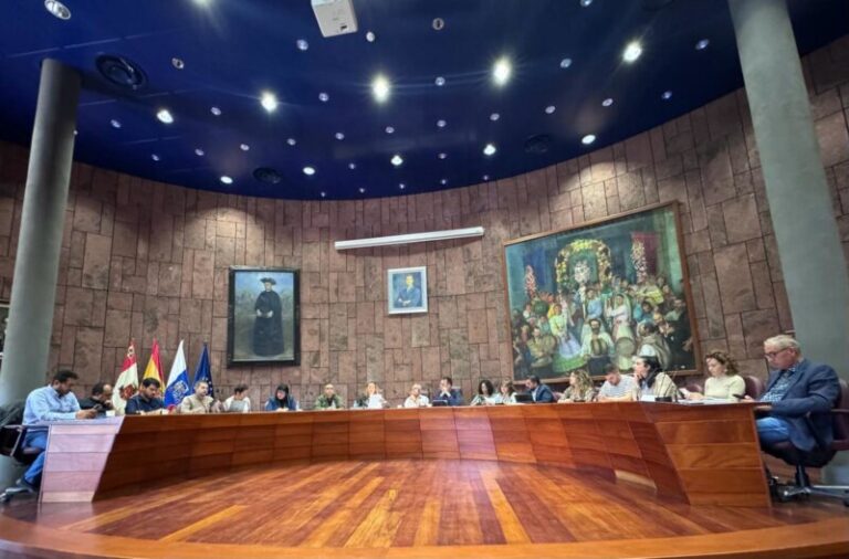 El Cabildo de La Gomera insta al reconocimiento oficial del covid persistente