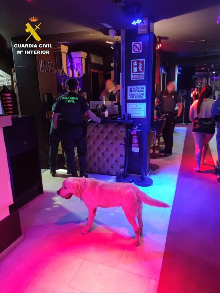 Interceptan drogas, armas y fármacos no permitidos en ocho locales de ocio de Mogán